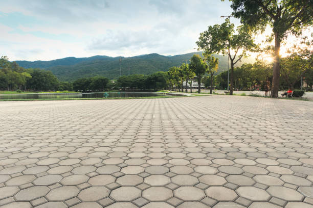 Best Brick Driveway Pavers  in Celina, TN